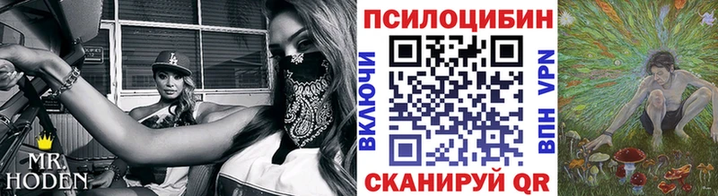 Галлюциногенные грибы Psilocybine cubensis  сколько стоит  Черепаново 